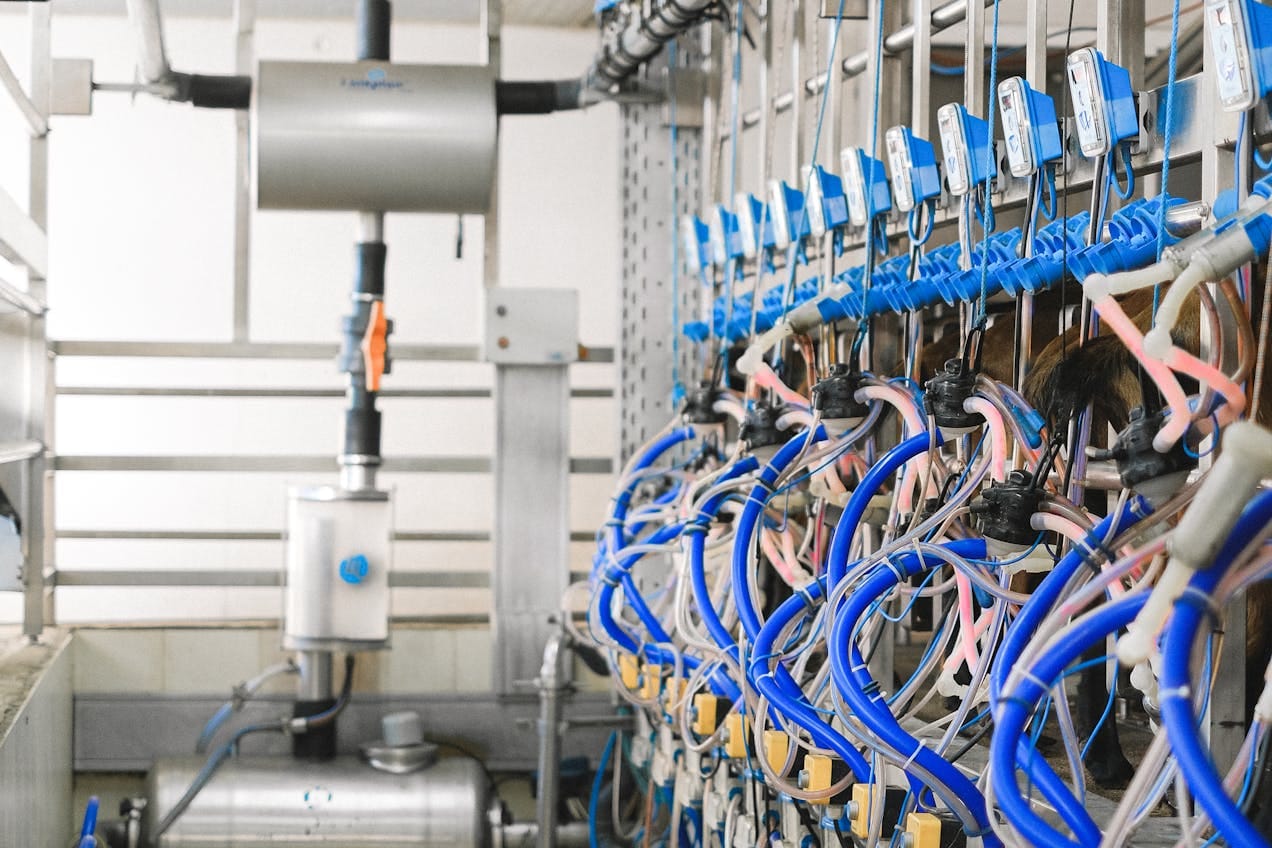 Tools, Tech & Automation: 1 Proven Tip Every Business Should Use in 2025 Automation