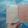 Self-employed O1 visa professional managing Indian mutual funds and US tax compliance Dual Citizens O1 Visa Renewal O1 Visa Holders