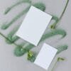 Green Card Green Card Holders