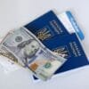 L1 Visa