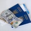 Foreign Social Security Foreign Company Directorship