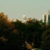 Indian Expats Green Card