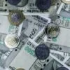 Indian Mutual Fund