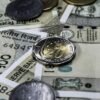 Indian Mutual Fund